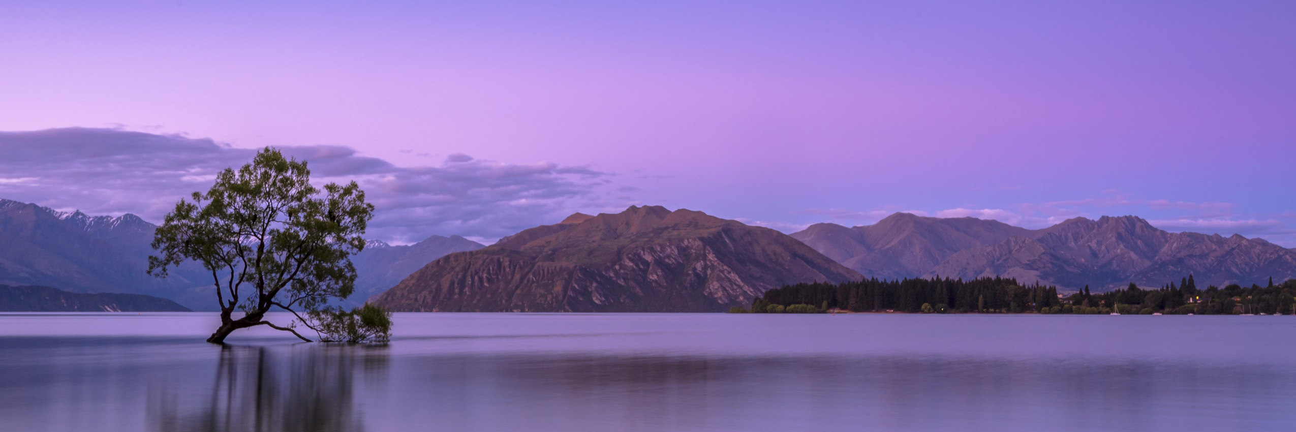 Landscape 4